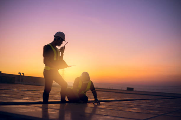 Best Affordable Roofing Company  in Wolfe City, TX