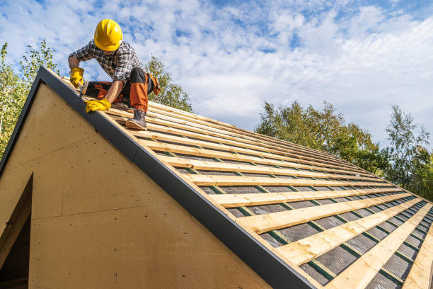 Best Best Roofing Contractors  in Wolfe City, TX