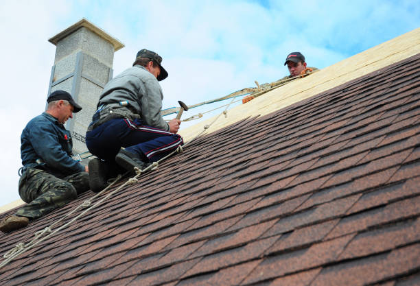 Roof Repair Estimates in Wolfe City, TX